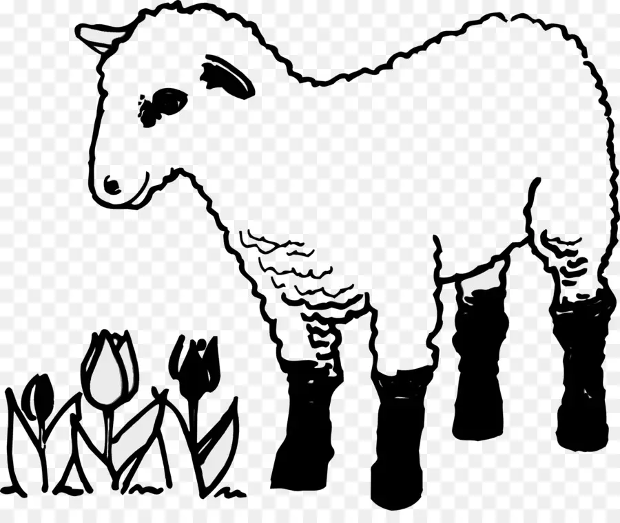 Moutons Avec Des Fleurs，Agneau PNG