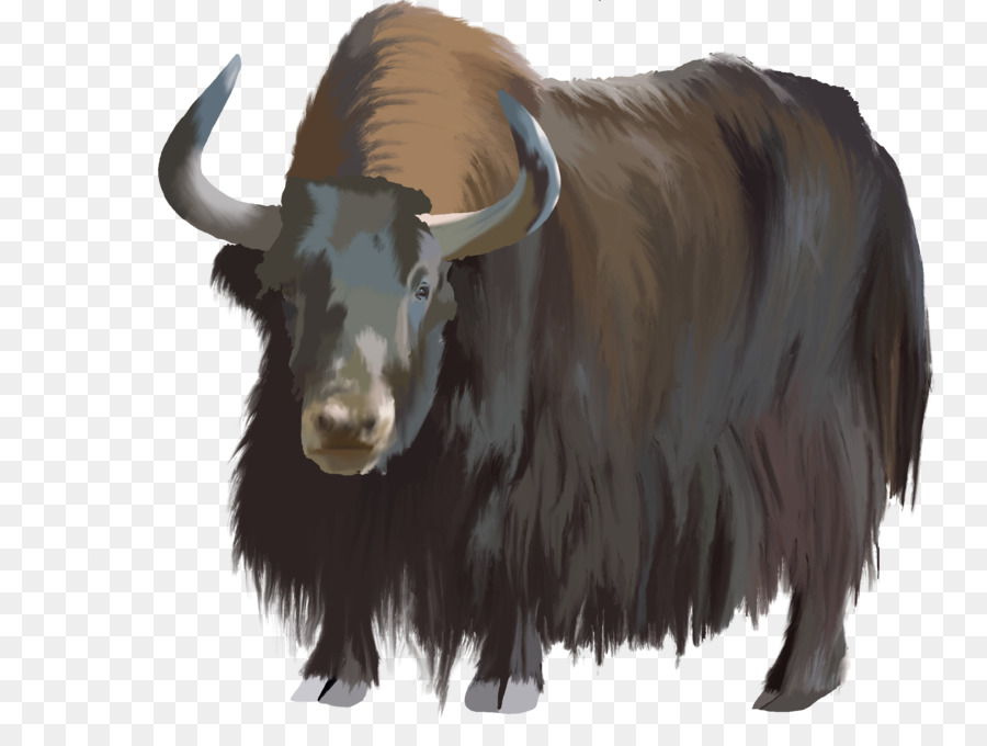 Buffle，Bison PNG