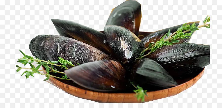 Moules，Fruit De Mer PNG