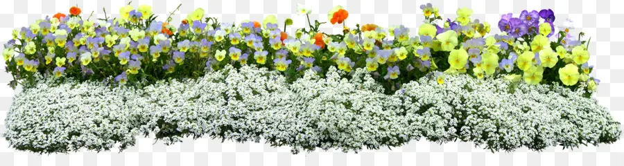 Parterre De Fleurs，Jardin PNG