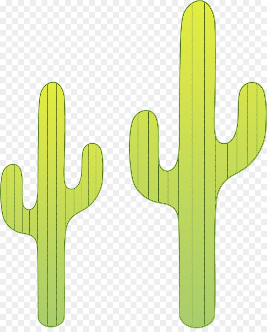 Cactus，Succulent PNG