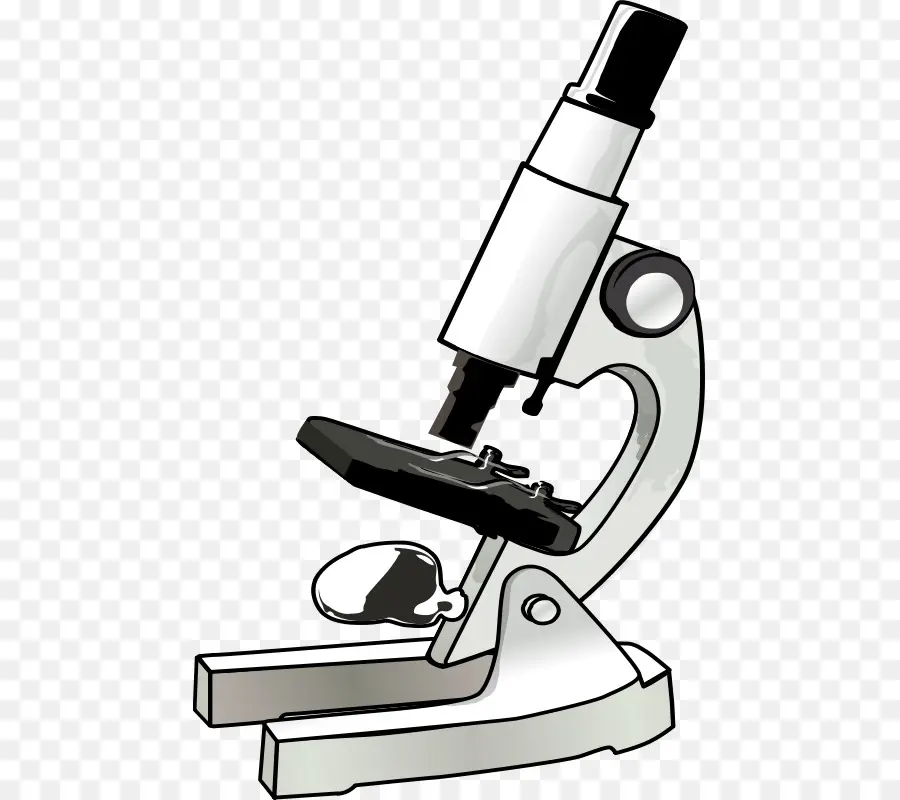 Microscope，Science PNG