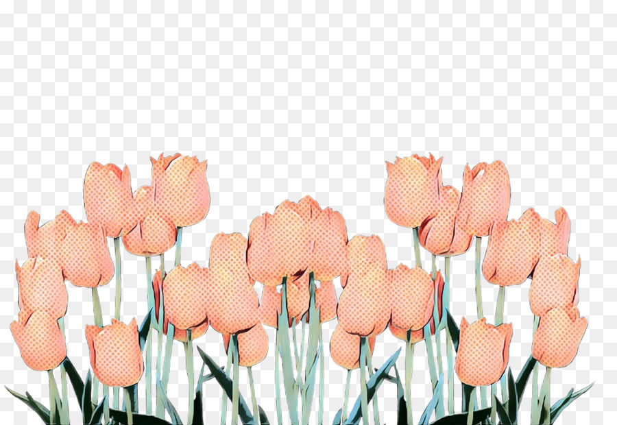 Tulipes，Rouge PNG