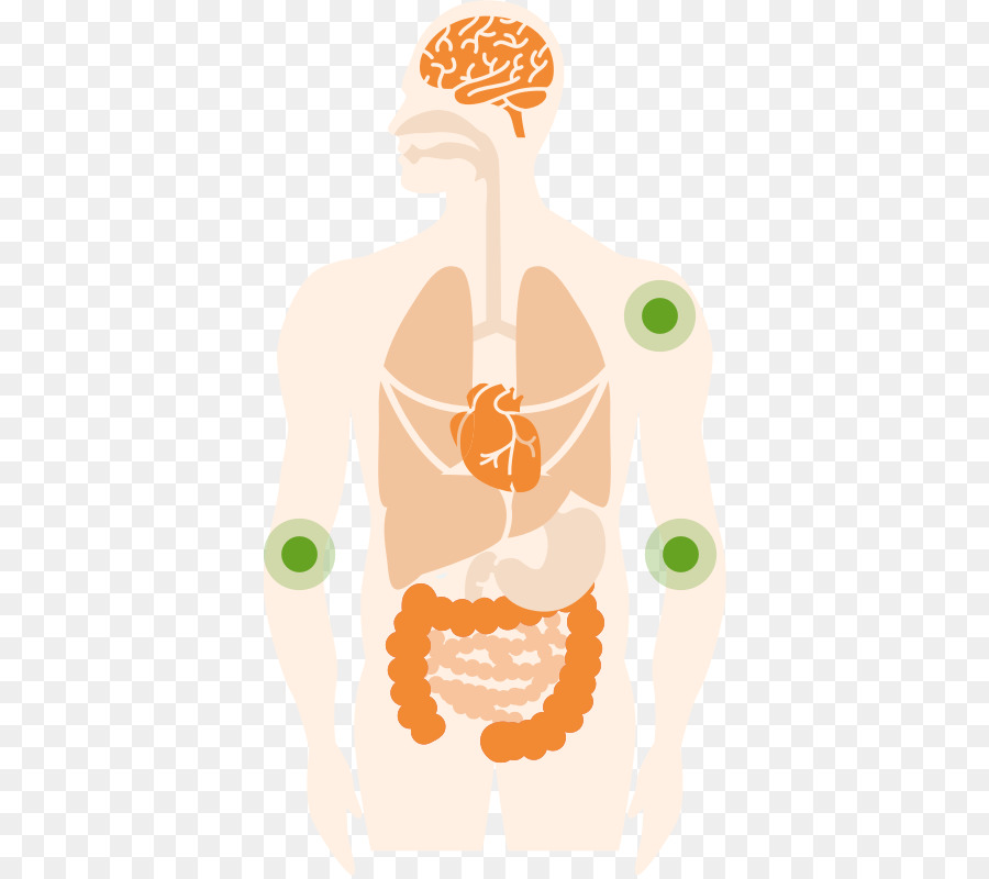 Pharmacie，De Soins De Santé PNG