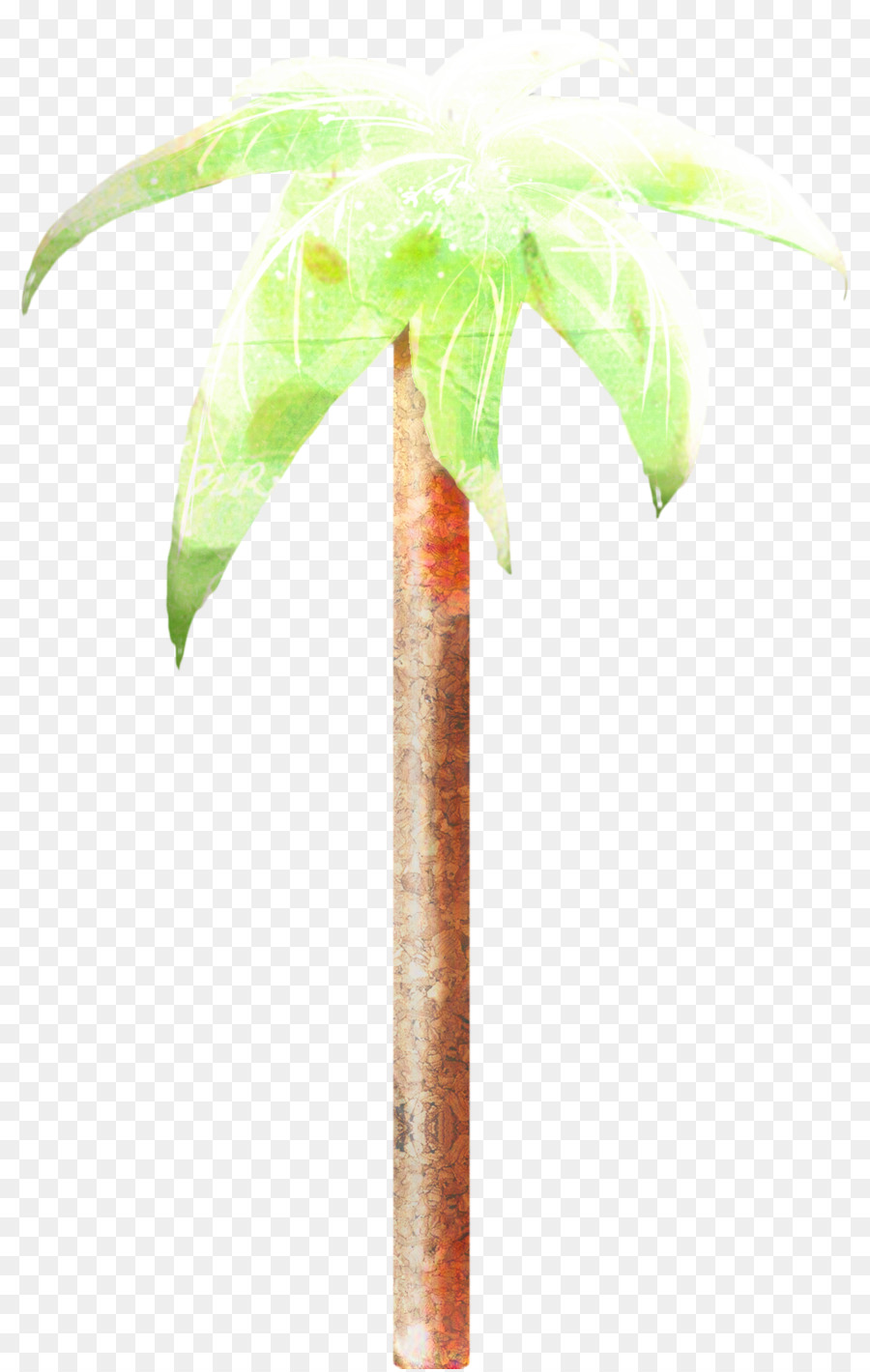 Les Palmiers，Flowerpot PNG