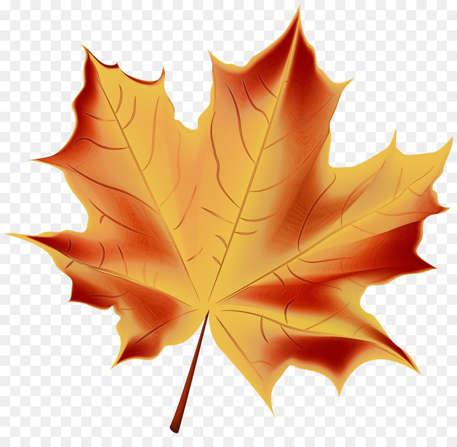 Feuille Rouge，Automne PNG