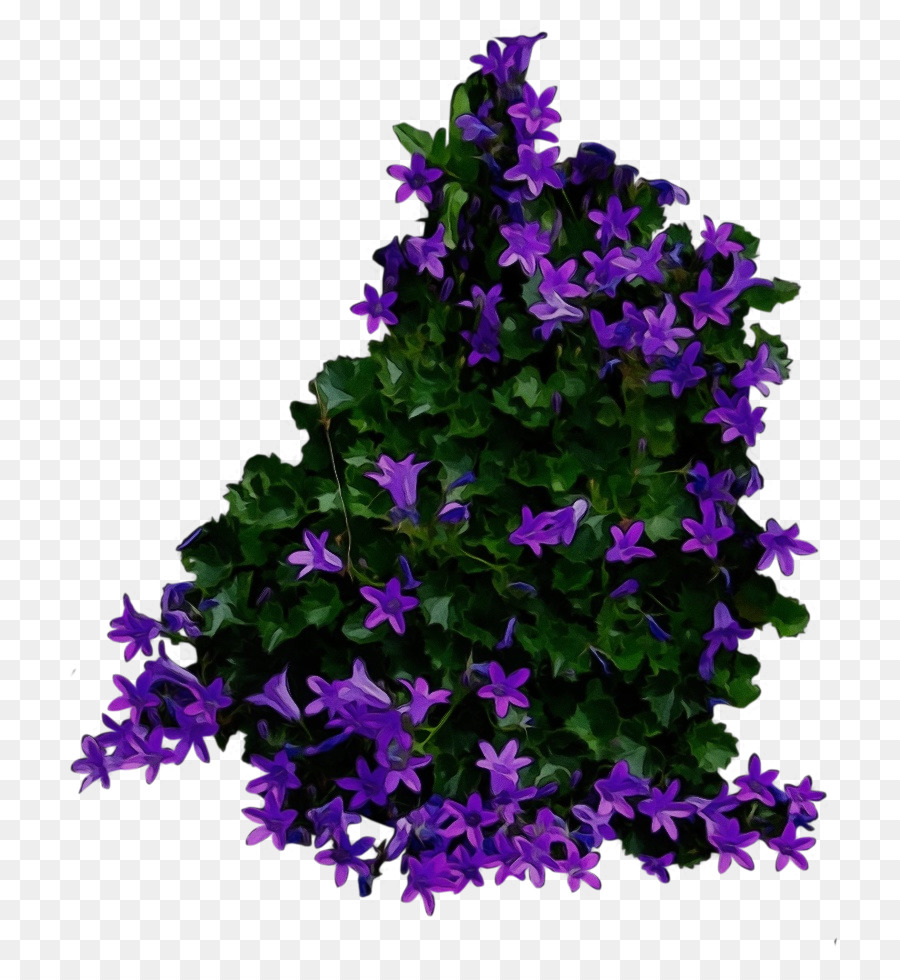 Fleurs Violettes，Buisson PNG