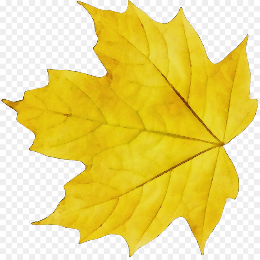 Feuille，Automne PNG