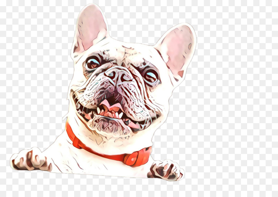 Bouledogue Français，Animal De Compagnie PNG