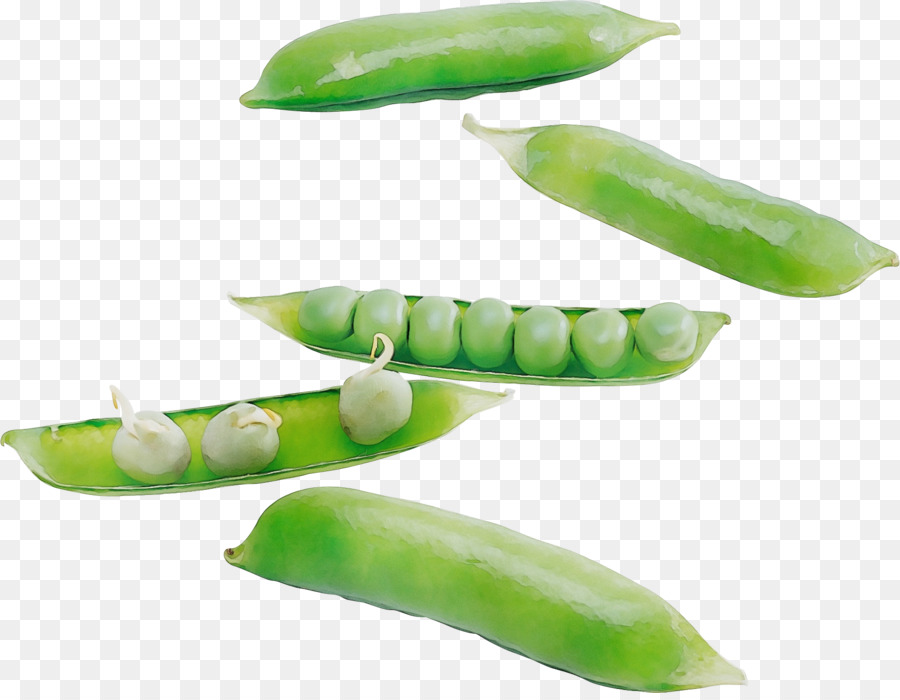 Petits Pois，Légume PNG