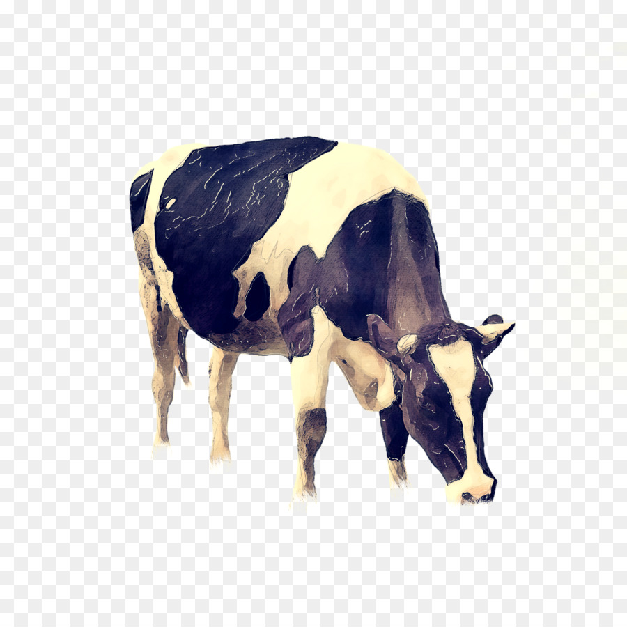 Vache，Bétail PNG