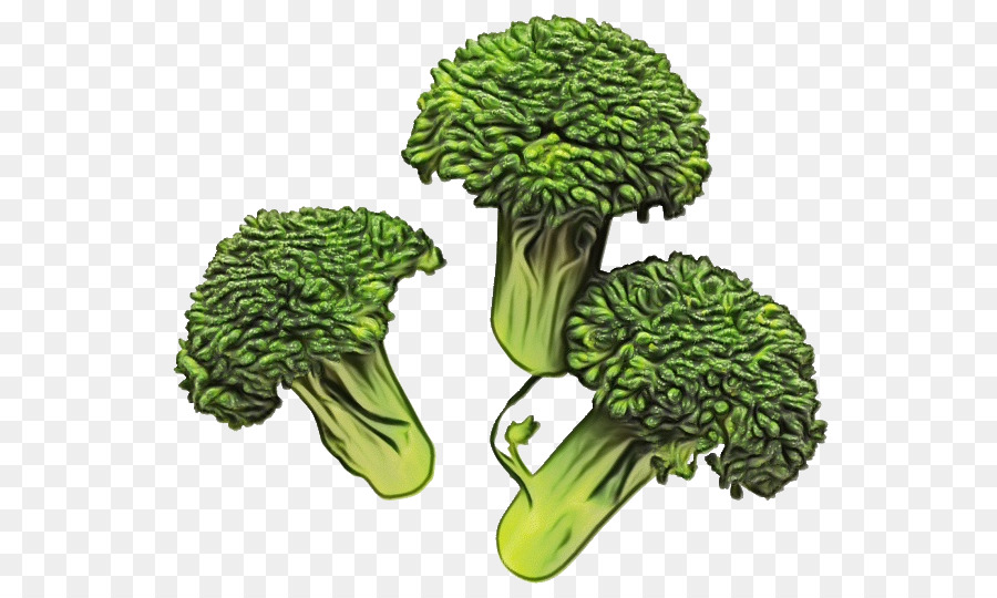 Brocoli，Vert PNG