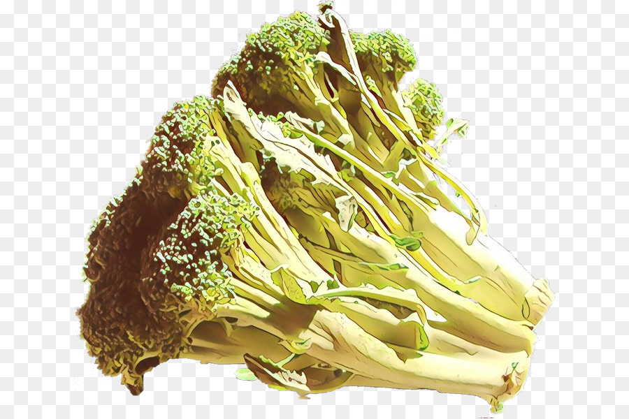 Brocoli，Nourriture PNG