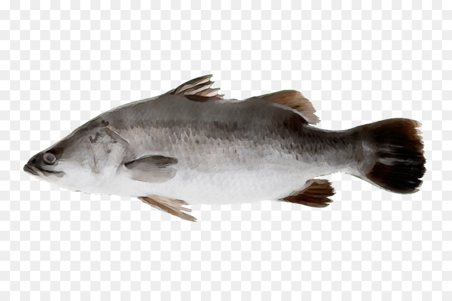 Les Poissons，Basse PNG