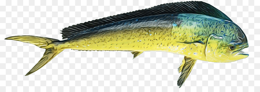 Poisson Vert Et Jaune，Aquatique PNG