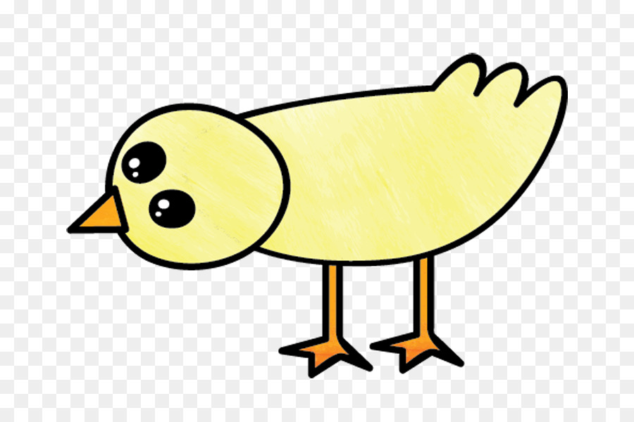 Poulet De Dessin Animé，Oiseau PNG