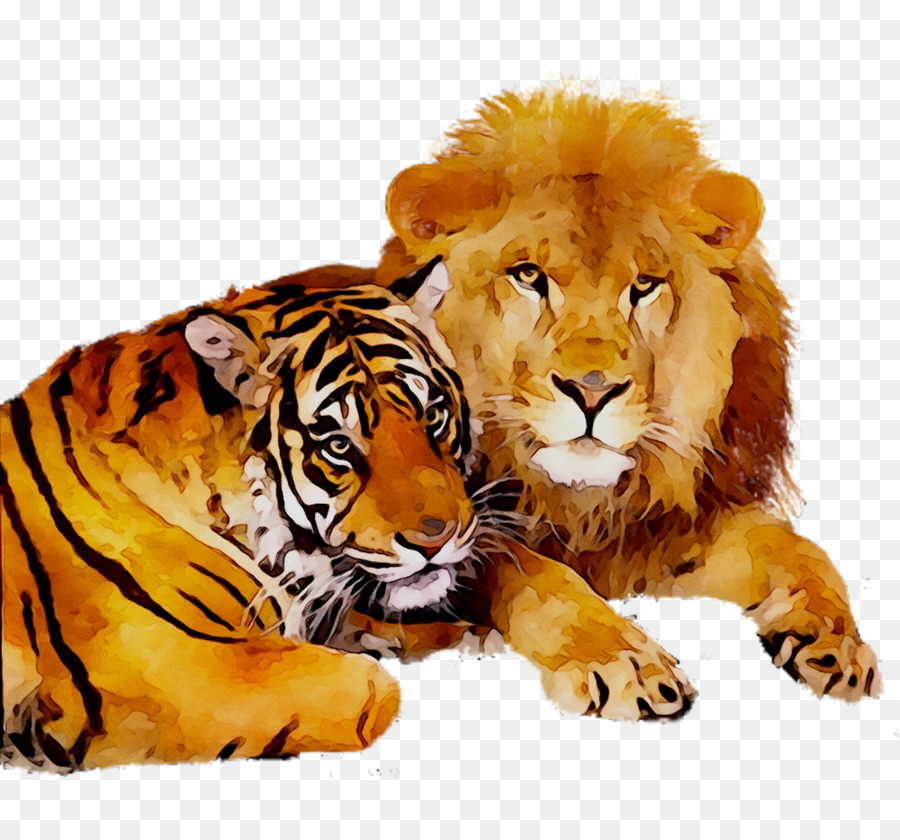 Tigre，Petit PNG