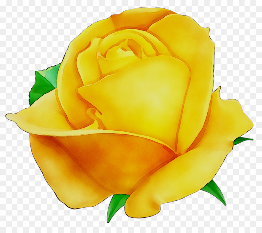 Rose Jaune，Rose PNG