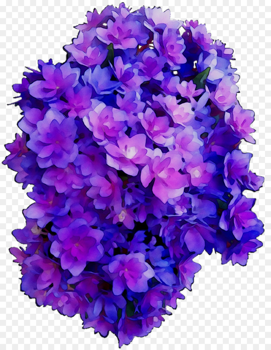 Fleurs，Violet PNG