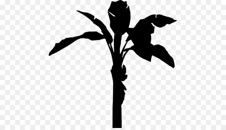 Silhouette De Plante，Fleur PNG