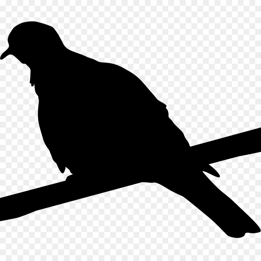 Silhouette D'oiseau，Perché PNG