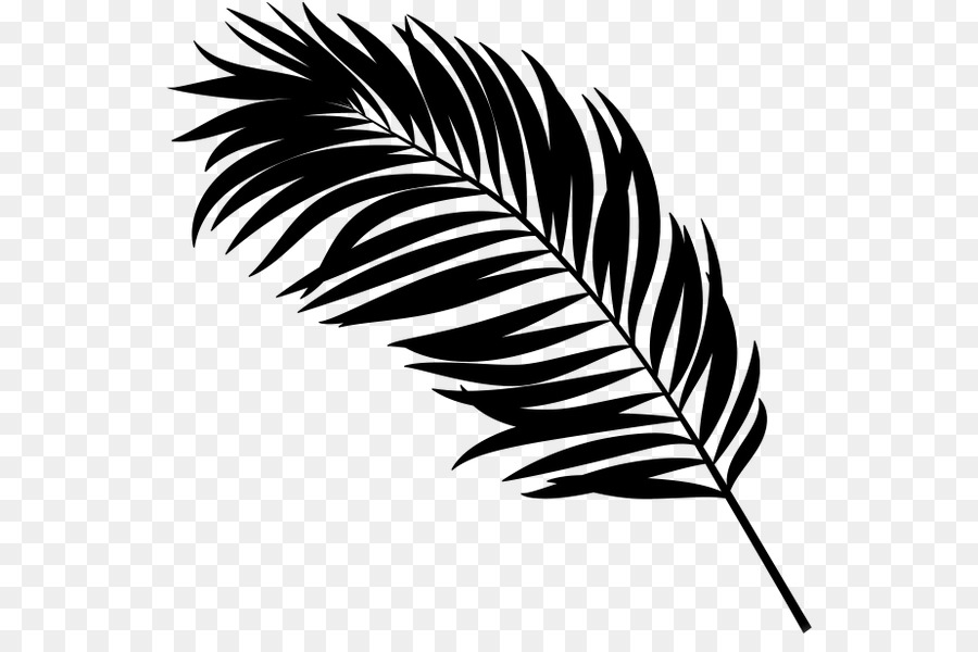 Palme，Fronde PNG