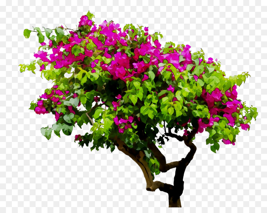 Arbre En Fleurs，Rose PNG