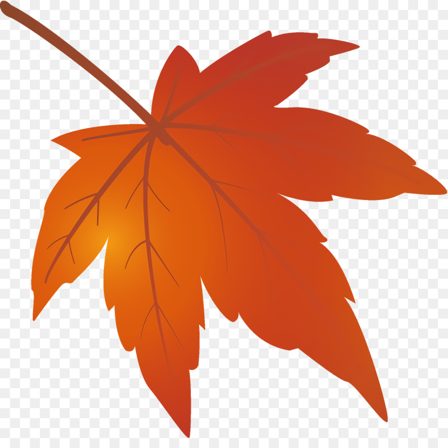 Feuilles D'érable，Automne PNG