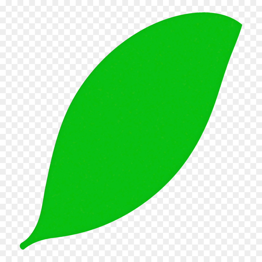 Feuille，Usine PNG