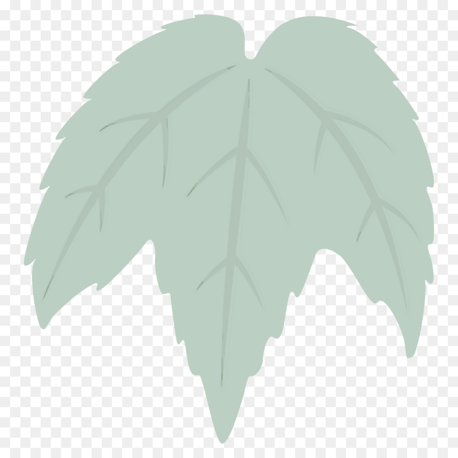 Feuilles，Vert PNG