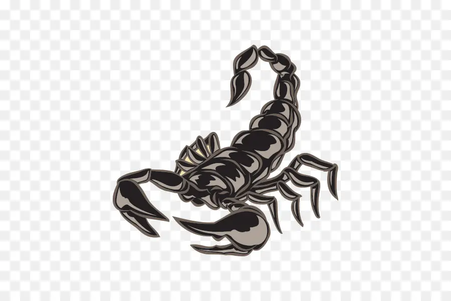 Scorpion，Insecte PNG