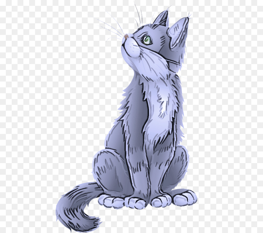 Chat Noir Et Blanc，Animal De Compagnie PNG