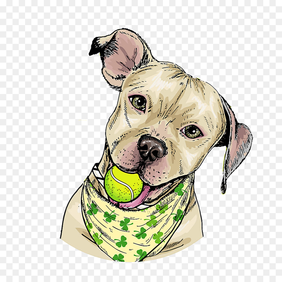 Chien，Museau PNG