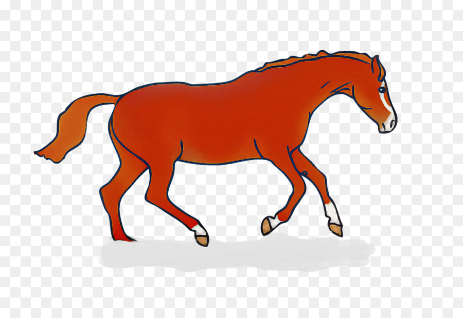 Cheval，En Cours D'exécution PNG