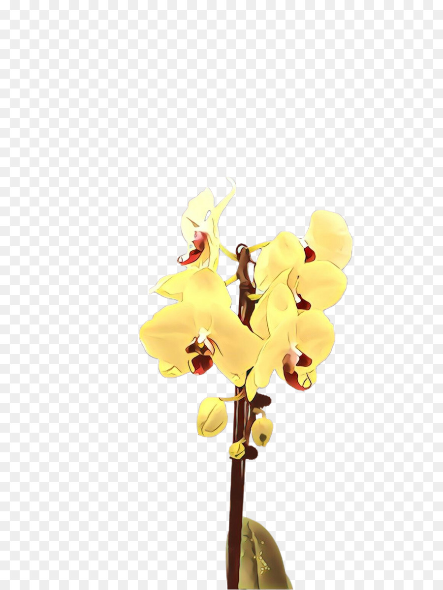 Fleur，Jaune PNG