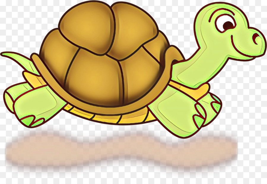 Tortue Verte，Coquille PNG