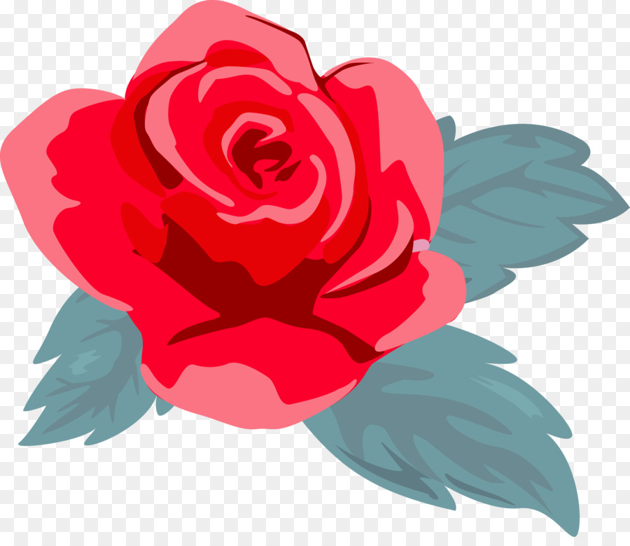 Roses，Floraison PNG