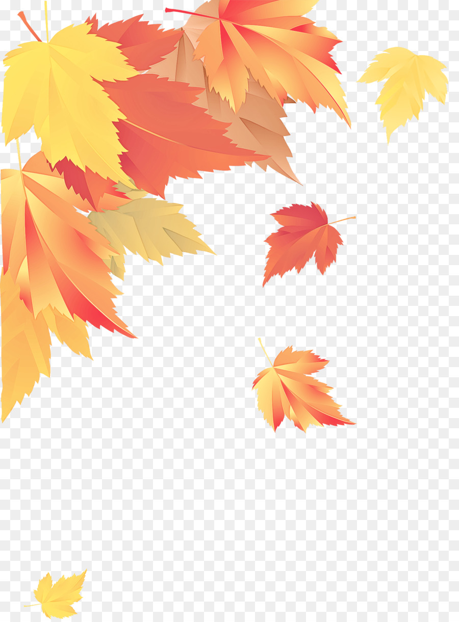 Feuilles D'automne，Automne PNG