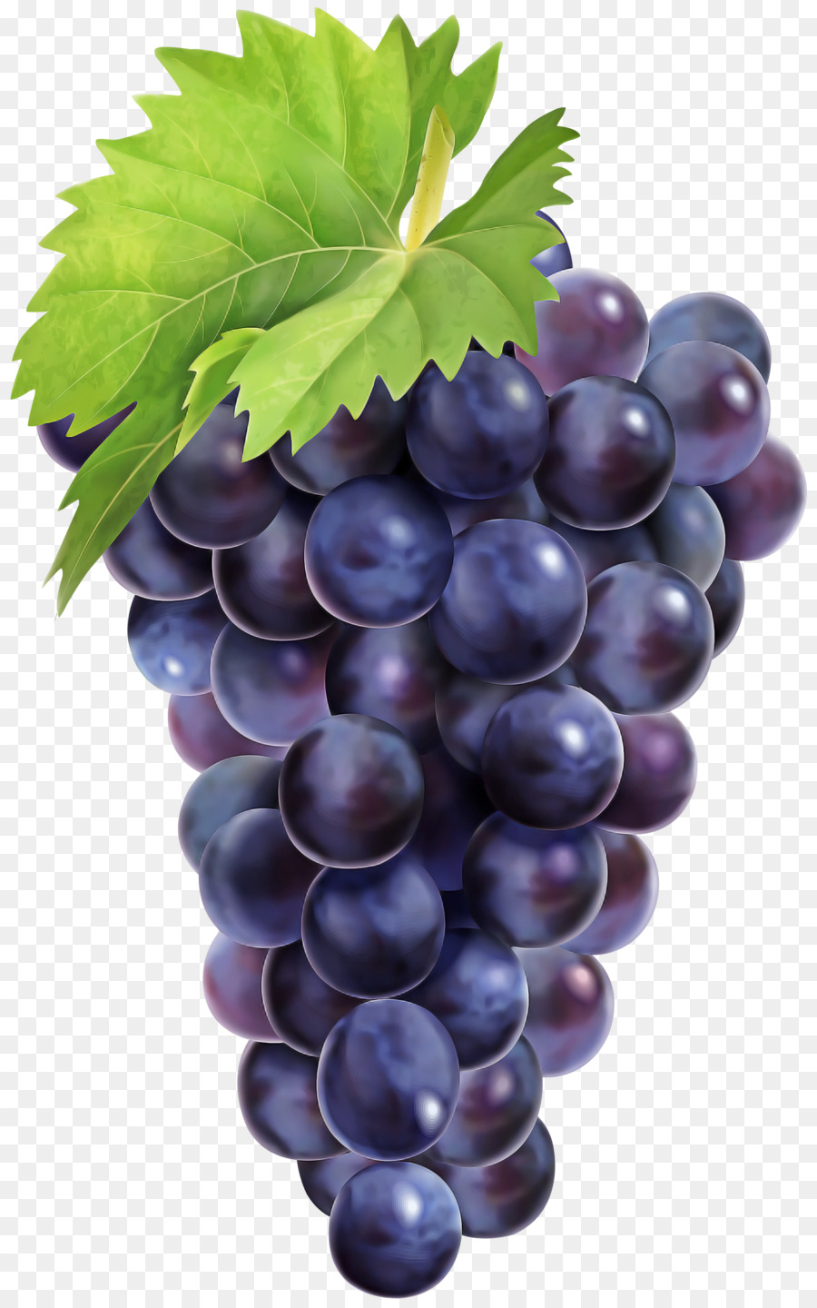 Raisins，Violet PNG