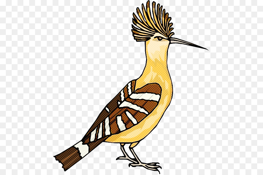 Oiseau De Dessin Animé，Animal PNG