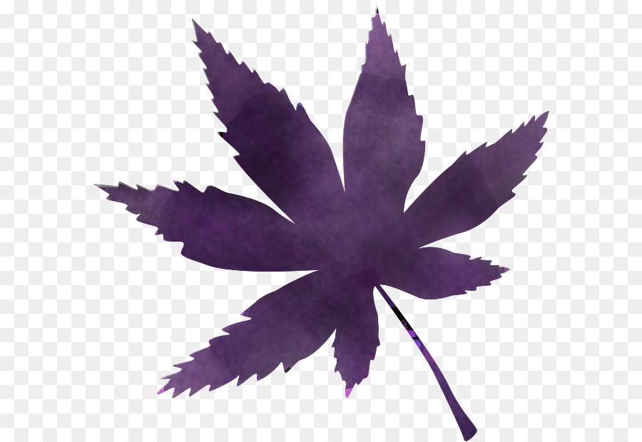 Feuille，Violet PNG