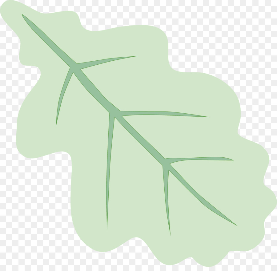 Feuille，Usine PNG