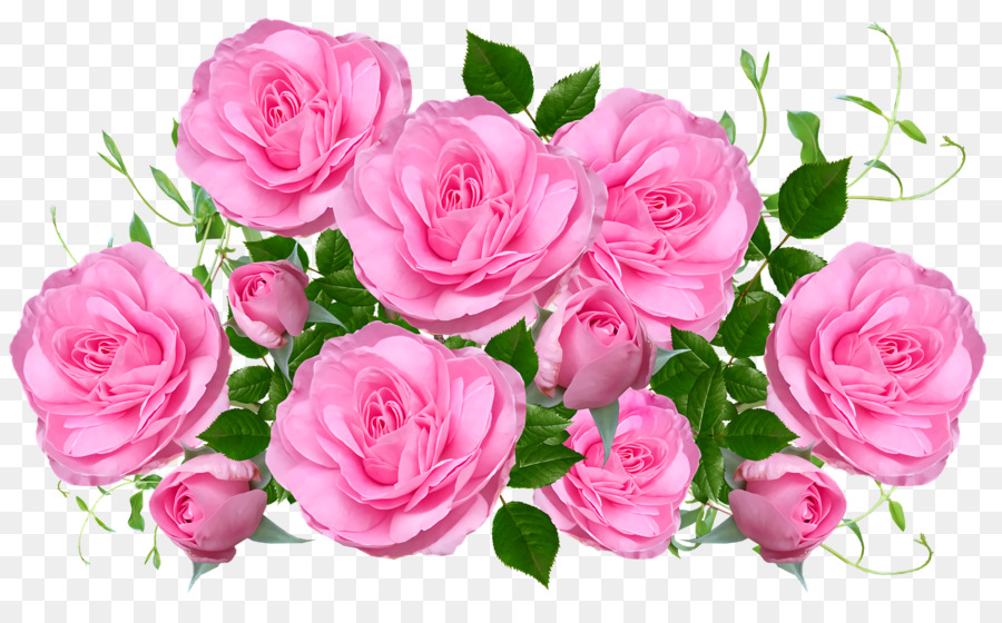 Roses Roses，Bouquet PNG