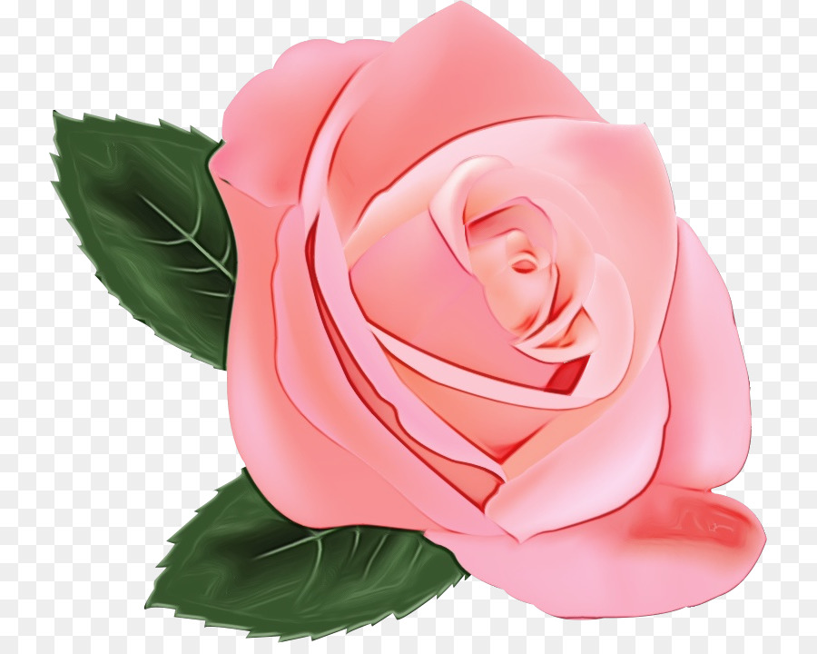 Pêche Rose，Floraison PNG