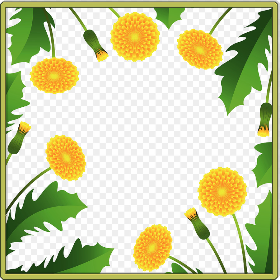 Fleur，La Camomille PNG