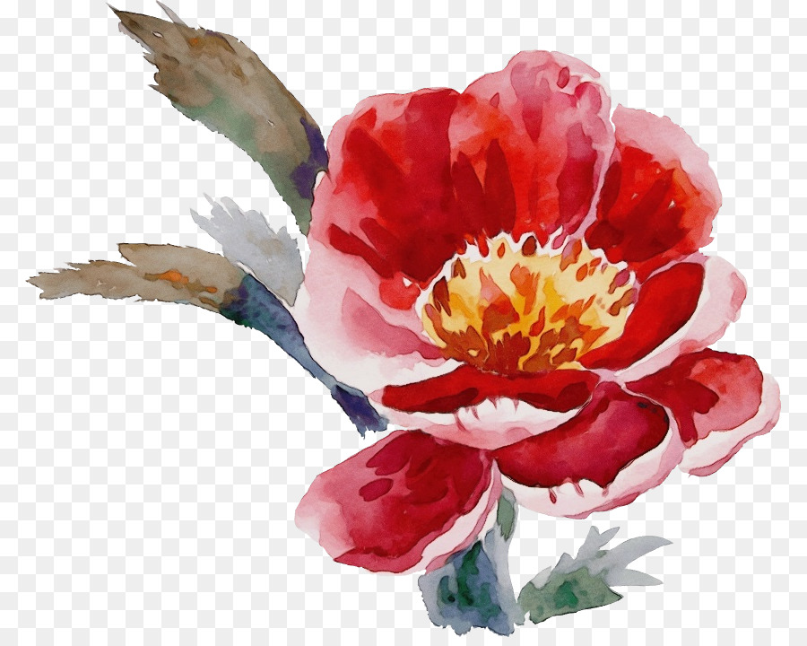 Fleur，Rose PNG