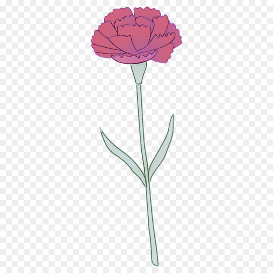 Fleur，Tige PNG