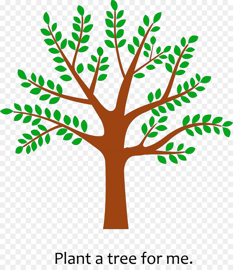 Arbre，Feuille PNG