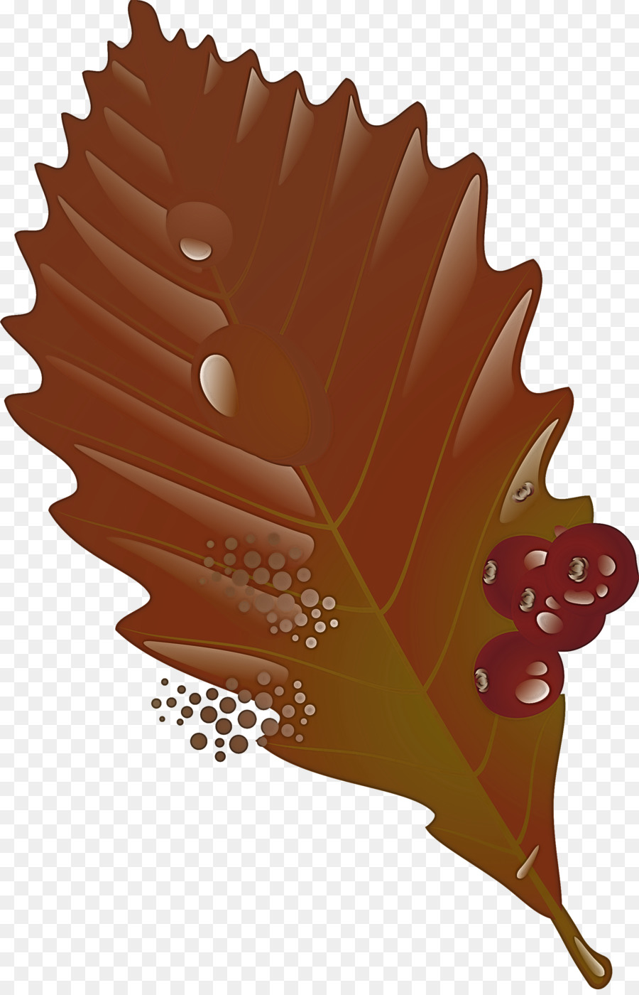 Feuille，Brun PNG