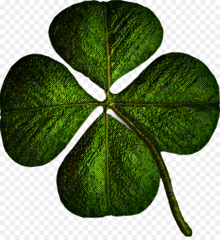 Feuille，Vert PNG